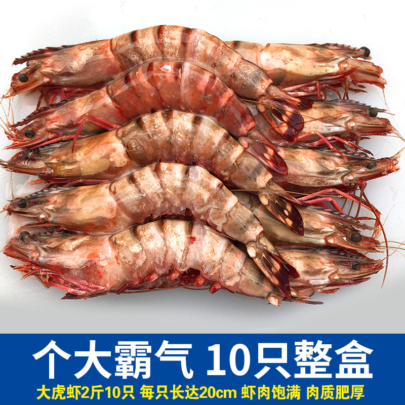 大虾特大号斑节虾超大虎虾海虾鲜活速冻竹节虾大黑虎虾整箱冷冻虾