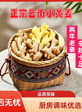 正宗云南小黄姜罗平小黄姜