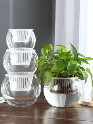 创意水培瓶植物透明玻璃花瓶容器绿萝花盆鱼花共养缸水养摆件器皿