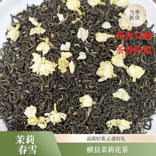 广西横县茉莉花茶新茶茉莉春雪浓香耐泡型花茶叶飘雪罐装自喝送礼