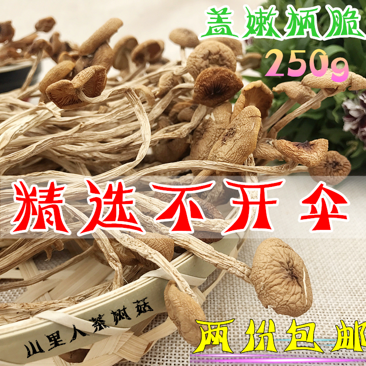 古田农家茶树菇不开伞干货鲜嫩茶薪菇特产冰菇苞菌菇250g买二包邮