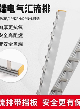 空气开关汇流排导电排小型断路器漏电1P2P3P4PDPN连接排1P+N紫铜