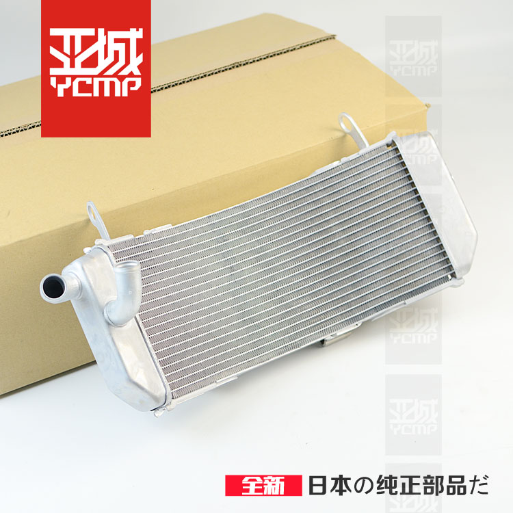 全新原装17-18年 TMAX530 T-MAX530 水箱散热器总成|ruв категории мотоцикл/оборудование/аксессуары, других поставок мотоциклов - от Buy2taobao.com для оказания профессиональной услуги покупки агента Taobao