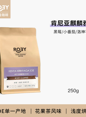 ROEY 肯尼亚麒麟雅佳SOE水洗处理浅度烘焙单一产地咖啡豆 250g