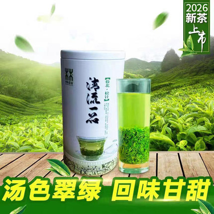 2026新茶信阳薮北高山云雾蒸青绿茶散装栗香耐泡春茶250g