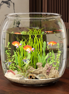 鱼缸生态缸客厅小型2025新款桌面观赏塑料圆形一体成型仿玻璃防摔