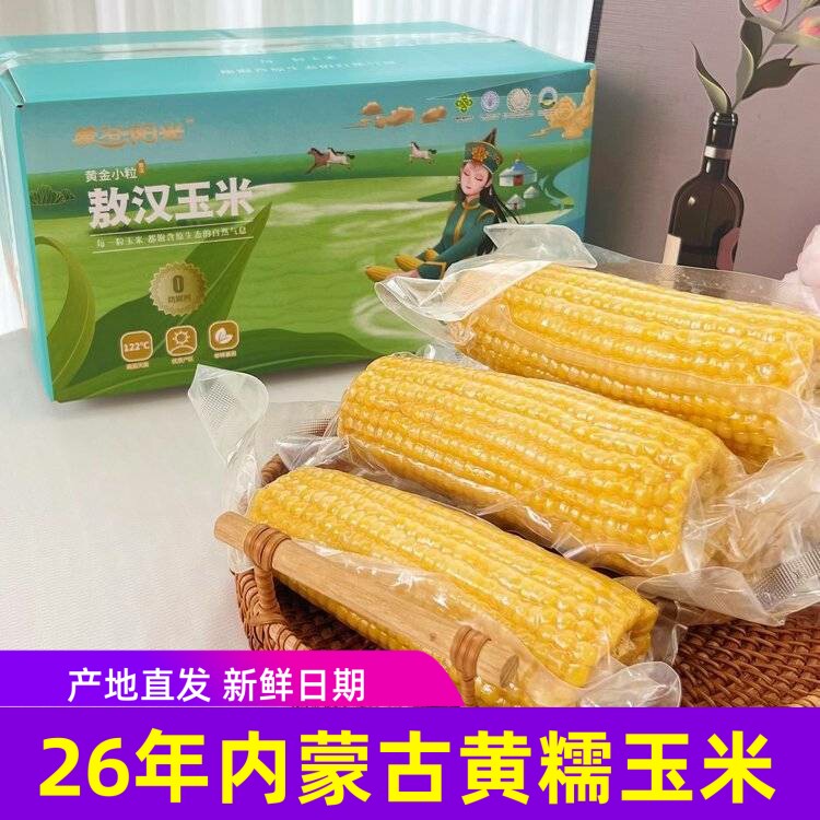 蒙谷阳光甜糯玉米黄金小粒玉米内蒙古黄糯玉米非转基因粗粮苞米8