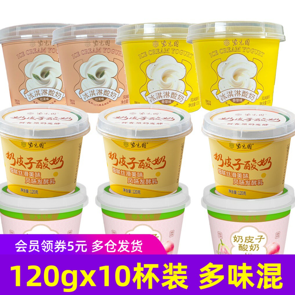 10杯紫光园奶皮子酸奶原味抹茶味茉莉味120g/杯