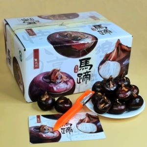 [SF Express] Хрустящие фирменные каштаны Jiji Guangxi, аутентичные водяные каштаны Lipu, свежевыкопанные хрустящие сладкие водяные каштаны, 3 фунта 5 фунтов Wansi Ruyi