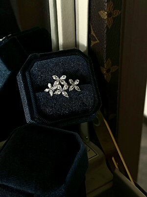 Fortuna 福尔图娜古希腊高奢镶嵌蝴蝶戒指925纯银