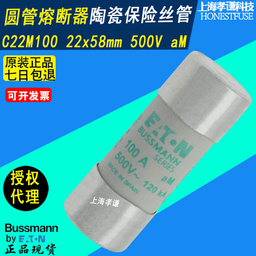 保险丝美国BUSSMANNC22M100100A