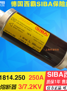 德国SIBA熔断器3001814 250A 3001213 6KV 12KV 80A 100A 125A