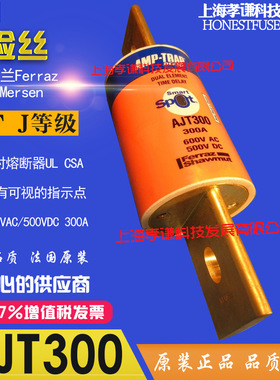 美尔森Ferraz/Mersen保险丝AJT300 Spot熔断器600V 300A Amp-Trap