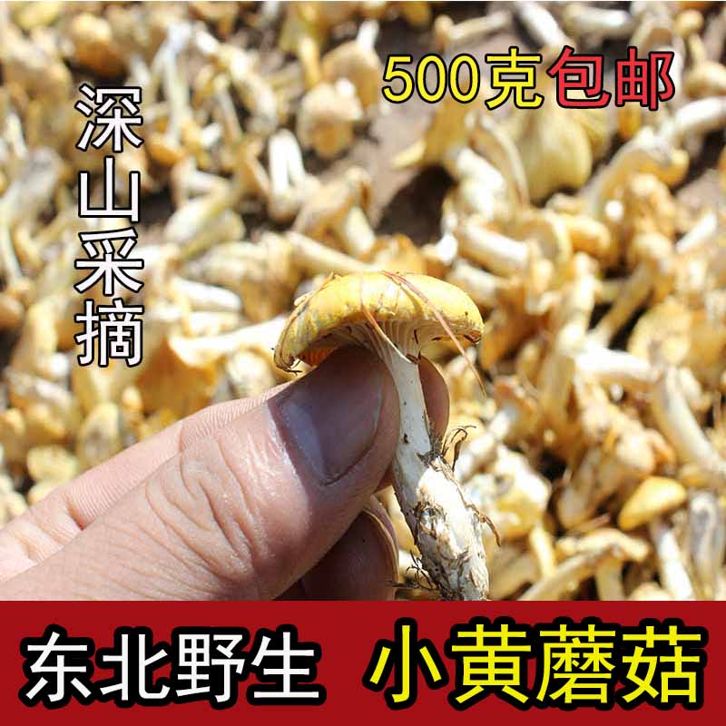 东北特产野生小黄蘑菇特级干货小鸡炖...