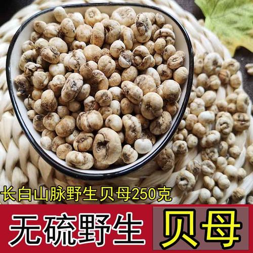 正宗贝母无硫野生长白山