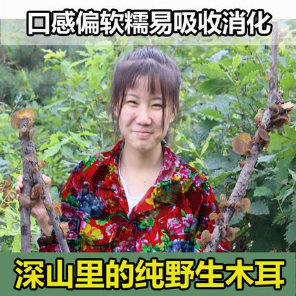 天然山木耳软糯特黑龙江特产干货野生黑木耳无添加级秋木耳250g散