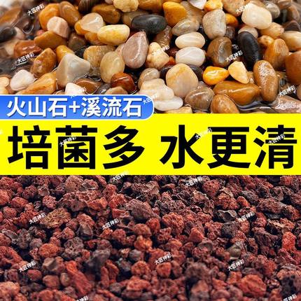 火山石溪流石鱼缸造景底部砂石乌龟专用石头小米鱼缸装饰摆件铺底