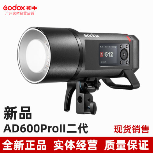 godox神牛外拍闪光灯全新正品