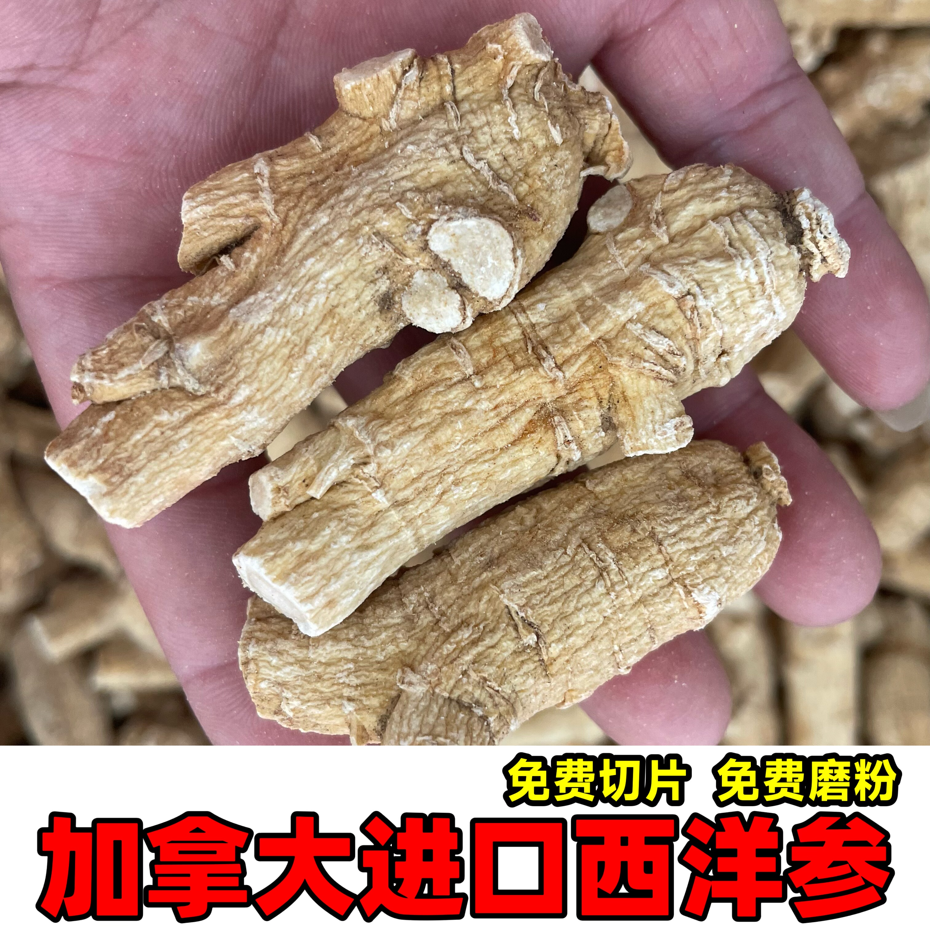 进口加拿大西洋参精选原枝正品原丛粒头整枝可切片打粉西洋参片