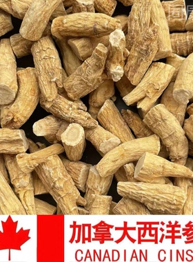 加拿大进口西洋参整枝剪腿西洋参中节参丁参脚参片花旗参脚分支