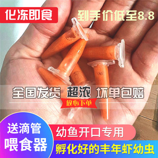丰年虾幼虫孵化卤幼冷冻冰冻丰年虾卵幼鱼开口孔雀七彩小型鱼活食