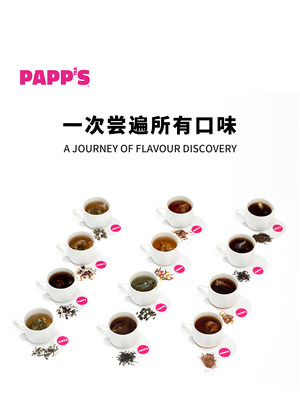 PAPPS派帕斯多口味冷泡冲泡茶包优质连锁餐饮酒店三角茶包50包
