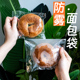 防雾面包包装 袋自封透明烘焙碱水球泡芙吐司司康贝果自粘打包袋子