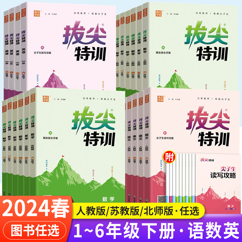 2024通城学典拔尖特训语数英