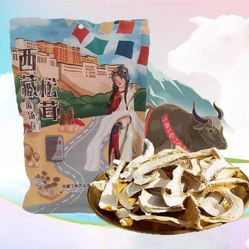 西藏特产菌汤包松茸包邮