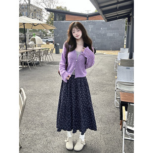 2026春季 女秋胖mm显瘦超火穿搭一整套 漂亮紫色度假碎花半身裙套装