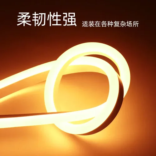 柔性110vled灯条台湾美国加拿大