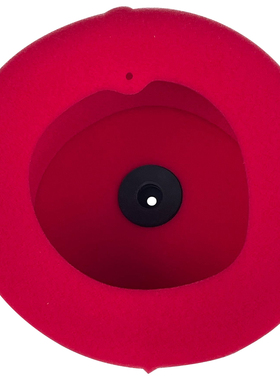 RM125 04-12 RM250 03-12 RM-Z250  RMZ250 07-18 R 海绵空气滤芯