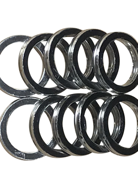 FJR1300 YZFR6 YZF-R1 WR250R XTZ200 Super Tenere 排气管垫片