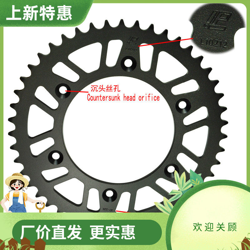crm250/500大小齿前后油封链条