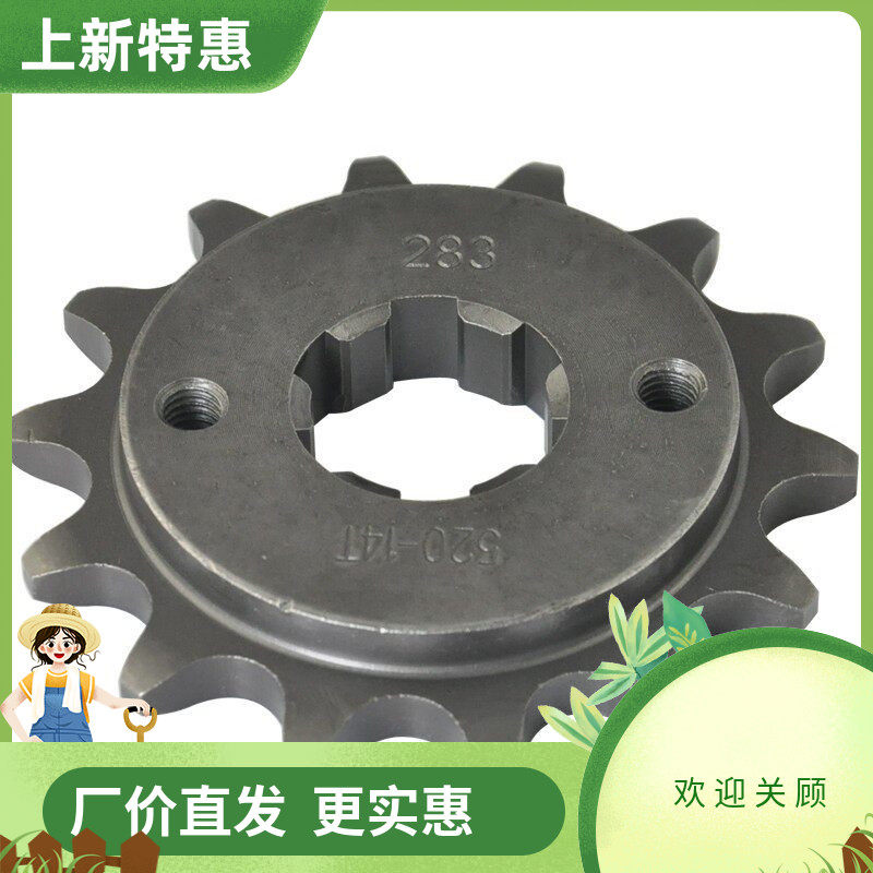 包邮 NSR250 NS250 VT250 前后大齿 小齿 链条 牙盘 套齿链轮飞齿