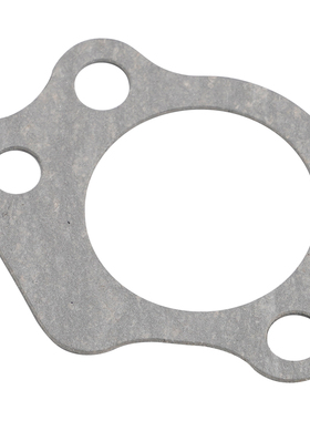 MT10 18-22 FZ10 2017 APEX RX10 11-18 XTZ12 张紧器边盖垫片