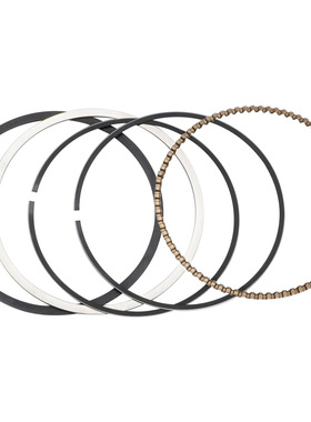 适用雅马哈 Yamaha SRT1000B-E SX230 (AR230) 2006年 标准活塞环