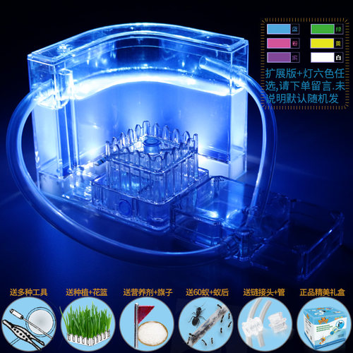 蝶蚁轩蚂蚁城堡观察蚂蚁挖洞工坊