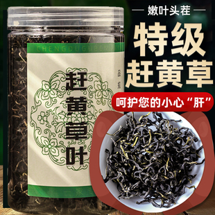 四川古蔺赶黄草中药材正品另售赶黄草花赶黄草杆全草益肝茶养生茶