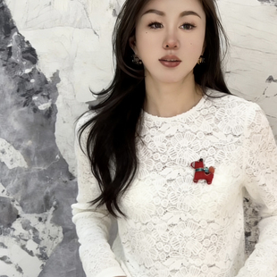 繁花家6年早春水溶镂空打底上衣小衫(配小马胸针可拆卸)YS3-WD31
