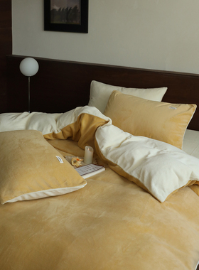 【宅姿势】简约纯色秋冬季节加绒保暖加厚 双人床品四件套SGL床单