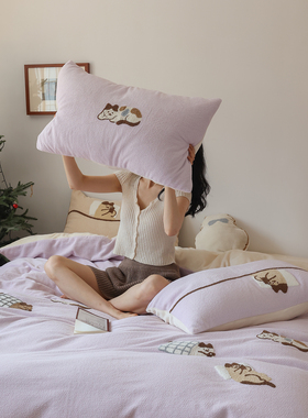 【宅姿势】香芋紫  亲肤裸睡加绒柔软双人床品3四件套FXB床单床笠