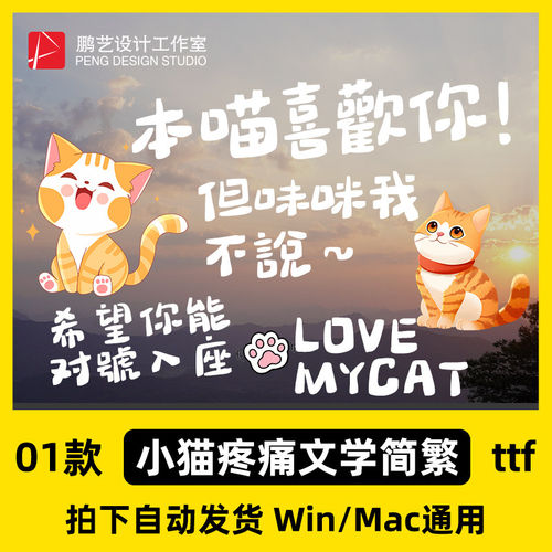 procreate文学ig手写体/GoodNotes简繁童趣猫猫可爱ps體字体中文