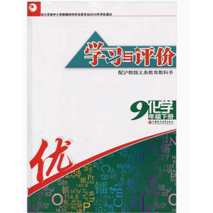 配套沪教版苏教版学习与评价九年级下册化学9年级下册学习与评价化学初中化学同步教辅 江苏凤凰教育出版社
