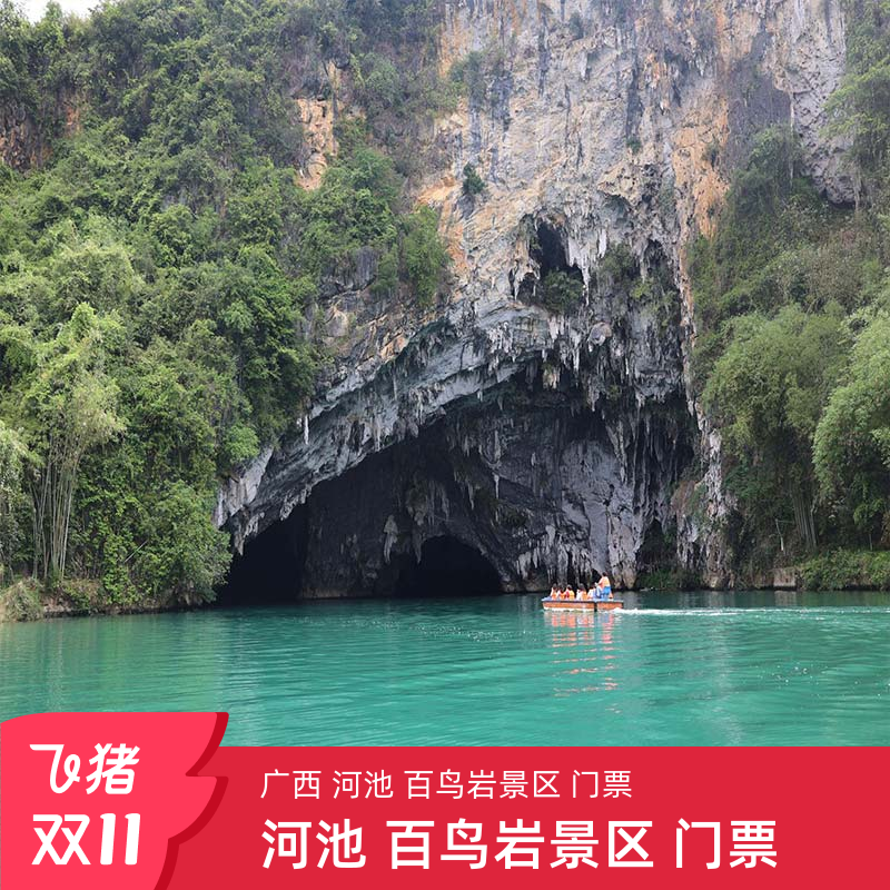 [百鸟岩景区-门票]广西 河池 百鸟岩景区 门票