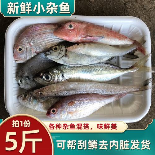 深海杂鱼新鲜冷冻北海海鲜水产深海鱼小杂鱼鲜活海捕速冻5斤包邮