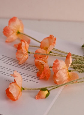 高档虞美人仿真花假花客厅摆放设花卉拍照摄影道具花绢花轻奢花瓶