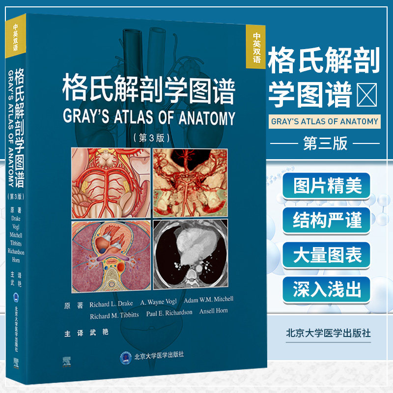 中英双语 解剖学方位术语和平面 解剖学平面和影像 背部胸部腹部图解