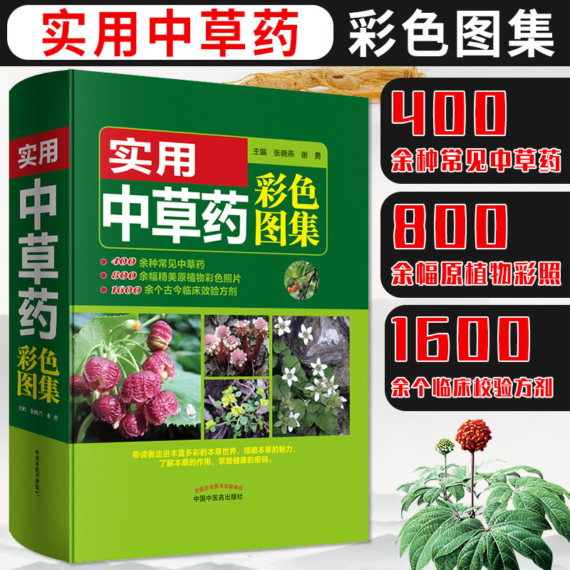 包邮正版 实用中草药彩色图集 张晓燕 谢勇 中国中医药出版社9787513251525 中药彩色图谱 中草药彩色照片临床效验方剂原植物图谱