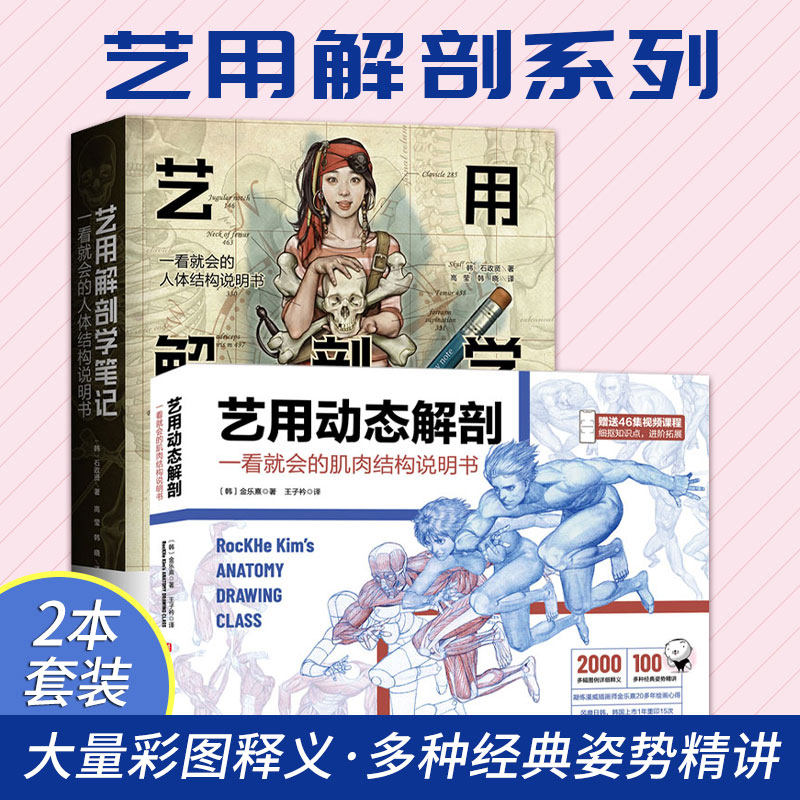 正版2本 艺用动态解剖+艺用解剖学笔记 素描绘画教学基础漫威插画师金乐熹韩国大触石政贤伯里曼人体结构解剖 北京科学技术出版社